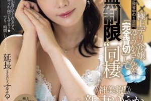 不可抗力1电影在线观看[720P]电影海报