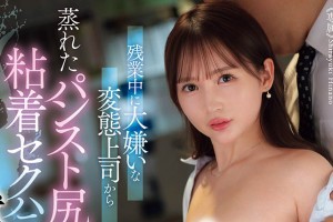 巨乳的幻想第二季视频下载[720P]电影海报