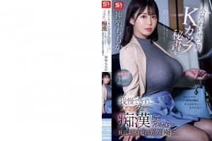 美国蜘蛛乐队[正片]电影海报